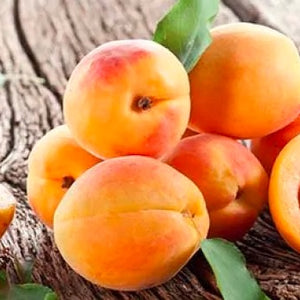 Apricot kernels