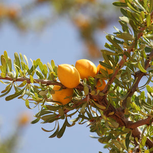 Argan