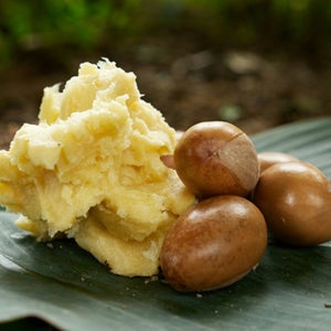 Shea Butter