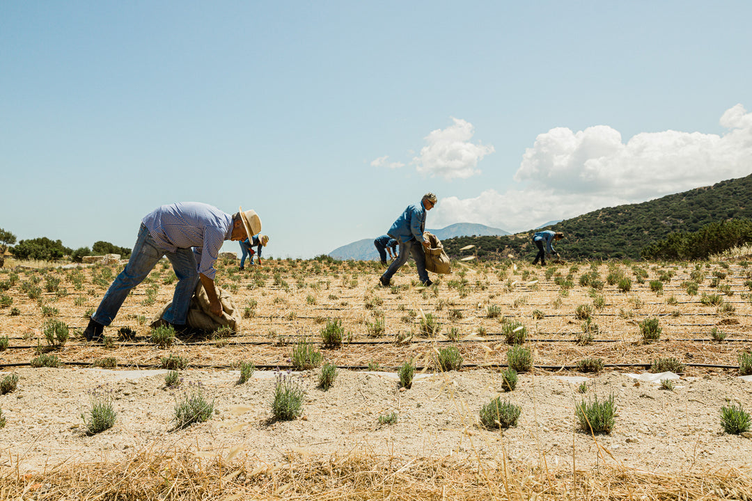 5 reasons why you should choose organic and natural products