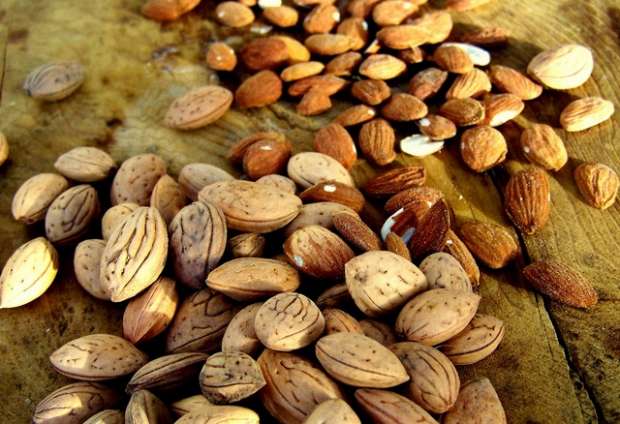 Bitter almond oil