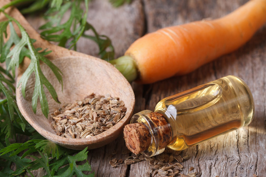 Carrot oil