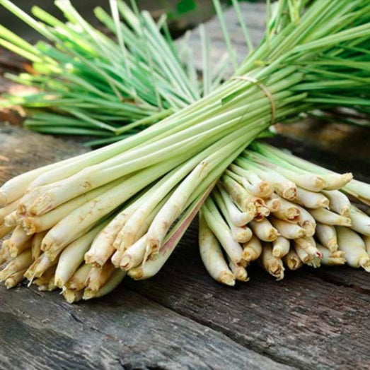 Citronella-Öl