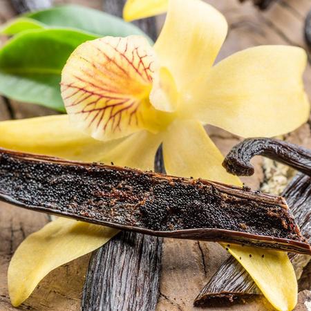 Vanilla essential oil