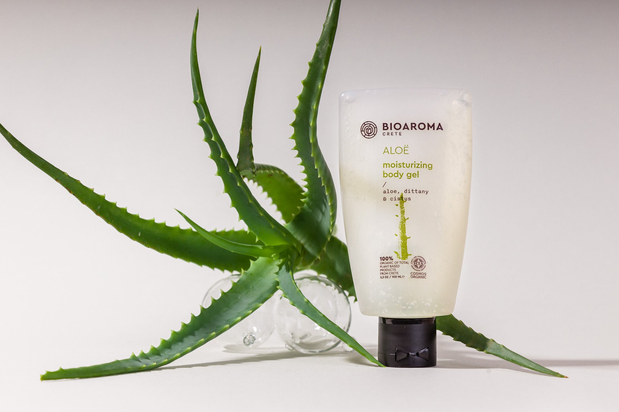 aloe vera sehkraft Aloe Vera Gel