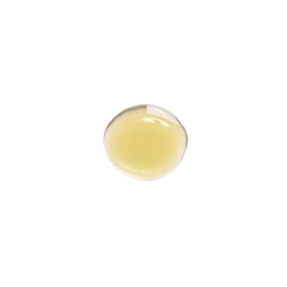 AITHER Ätherisches Bio-Citronella-Öl